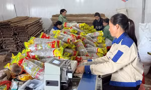 “Tam nông” chuyển mình theo hướng hiện đại, sinh thái, giá trị cao