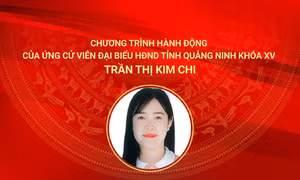 Chương trình hành động của ứng cử viên đại biểu HĐND tỉnh Quảng Ninh khóa XV Trần Thị Kim Chi