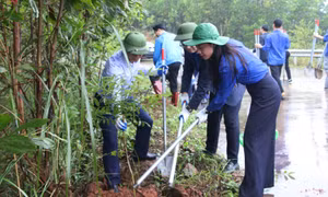 Thanh niên tạo khí thế mới, giá trị thật