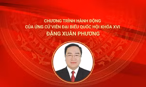 Chương trình hành động của ứng cử viên đại biểu Quốc hội khóa XVI Đặng Xuân Phương