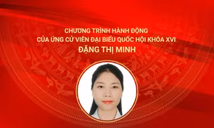 Chương trình hành động của ứng cử viên đại biểu Quốc hội khóa XVI Đặng Thị Minh
