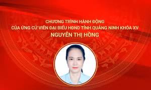 Chương trình hành động của ứng cử viên đại biểu HĐND tỉnh Quảng Ninh khóa XV Nguyễn Thị Hồng