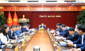 Giao ban Thường trực Tỉnh ủy