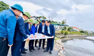 Giải quyết nhanh, kịp thời kiến nghị của cử tri  