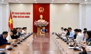 Lãnh đạo tỉnh làm việc với doanh nghiệp, tháo gỡ vướng mắc sản xuất kinh doanh