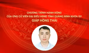 Chương trình hành động của ứng cử viên đại biểu HĐND tỉnh Quảng Ninh khóa XV Giáp Hồng Thái