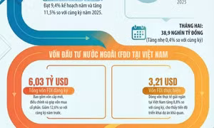 Tình hình đầu tư hai tháng đầu năm 2026: Vốn thực hiện tăng trưởng tích cực, đầu tư ra nước ngoài bứt phá