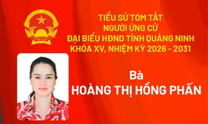 Tiểu sử ứng cử viên đại biểu HĐND tỉnh khóa XV Hoàng Thị Hồng Phấn