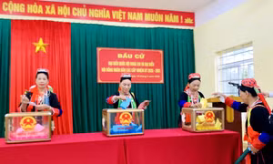 Đến 14h00 ngày 15/3, 15 địa phương đạt 100% cử tri đi bầu