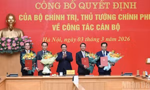 Công bố Quyết định của Bộ Chính trị, Thủ tướng Chính phủ về công tác cán bộ