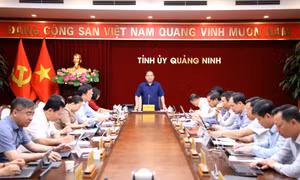Hội nghị Ban Thường vụ Tỉnh ủy