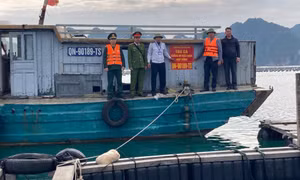 Tăng cường kiểm soát, xử lý vi phạm về quy định đánh bắt hải sản trên biển
