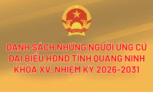 Danh sách những người ứng cử đại biểu HĐND tỉnh Quảng Ninh khóa XV, nhiệm kỳ 2026-2031