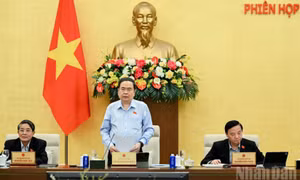 Khai mạc Phiên họp thứ 55 của Ủy ban Thường vụ Quốc hội