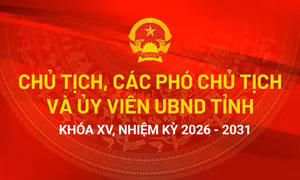 Danh sách Chủ tịch, các Phó Chủ tịch và Ủy viên UBND tỉnh Quảng Ninh khóa XV, nhiệm kỳ 2026-2031
