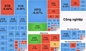 VN-Index 'bốc hơi' 100 điểm, 255 cổ phiếu nằm sàn