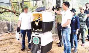 Ứng dụng công nghệ số bảo tồn đa dạng sinh học ở Phong Nha-Kẻ Bàng