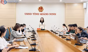UBND tỉnh cho ý kiến về các giải pháp, định hướng phát triển du lịch trong tình hình mới