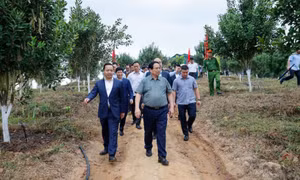 Thủ tướng Phạm Minh Chính: Cần biến núi rừng Tây Bắc trùng điệp thành của cải vật chất
