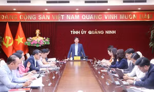Đẩy mạnh phát triển tổ chức Đảng, đoàn thể trong doanh nghiệp ngoài nhà nước