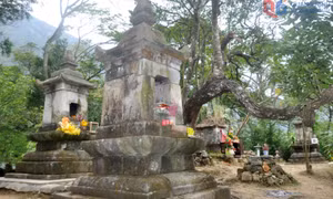 Linh thiêng vườn tháp Huệ Quang Yên Tử