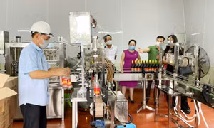 Nhiều giải pháp thúc đẩy kinh tế tư nhân