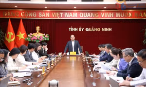 Phát triển văn hóa toàn diện, đồng bộ, tạo động lực phát triển bền vững cho tỉnh