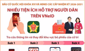 Cách tra cứu thông tin và thay đổi khu vực bỏ phiếu trên VNeID
