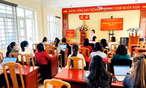 Không chọn vị trí, chỉ chọn trách nhiệm