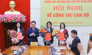Công bố các Nghị quyết của Thường trực HĐND tỉnh về công tác cán bộ