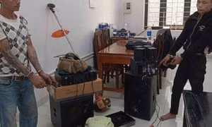 Bắt 2 đối tượng gây ra loạt vụ trộm tại các rẫy cà phê ở Gia Lai