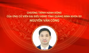 Chương trình hành động của ứng cử viên đại biểu HĐND tỉnh khóa XV Nguyễn Văn Công