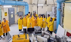 Quy định xử phạt vi phạm hành chính trong lĩnh vực năng lượng nguyên tử