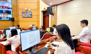 Đến 15h00': Tỷ lệ cử tri Quảng Ninh đi bỏ phiếu đạt 98,53%