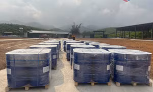 Ba Chẽ: Xuất khẩu lô hàng tinh dầu quế trị giá 500.000 đô la vào thị trường Mỹ