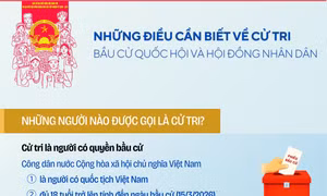Những điều cần biết về cử tri