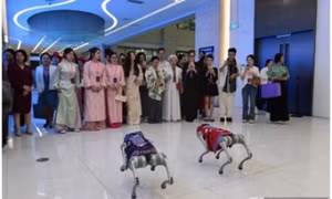 Giao lưu phụ nữ biên giới Việt - Trung năm 2026