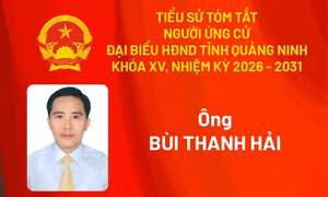 Tiểu sử ứng cử viên đại biểu HĐND tỉnh khóa XV Bùi Thanh Hải