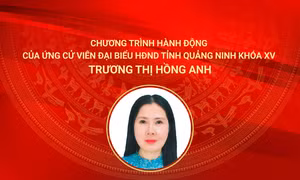 Chương trình hành động của ứng cử viên đại biểu HĐND tỉnh khóa XV Trương Thị Hồng Anh