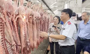 Chấn chỉnh công tác kiểm soát giết mổ gia súc