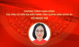 Chương trình hành động của ứng cử viên đại biểu HĐND tỉnh Quảng Ninh khóa XV Vũ Ngọc Hà