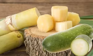 Công thức thải độc gan bằng nước mía nấu bí đao