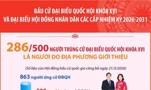 286/500 người trúng cử Đại biểu Quốc hội là người do địa phương giới thiệu