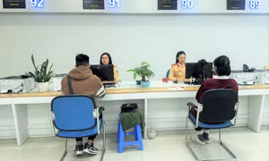 Cài ứng dụng VNeTraffic để nhận thông báo khi GPLX sắp hết hạn