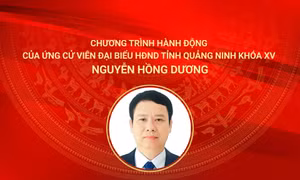 Chương trình hành động của ứng cử viên đại biểu HĐND tỉnh Quảng Ninh khóa XV Nguyễn Hồng Dương (Đơn vị bầu cử số 1)