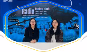 GEN Z 14 : "Bỏ phố về biển" - Cơ hội hay thách thức?