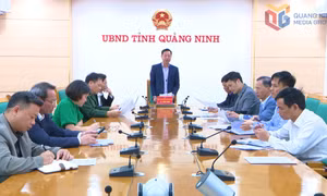 Từ ngày 7/3/2026 thí điểm thông quan cuối tuần qua cầu Bắc Luân II
