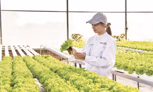 Minh bạch dữ liệu, nền tảng của khởi nghiệp xanh
