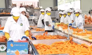Gia tăng nhận diện thương hiệu nông sản Việt Nam
