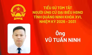 Tiểu sử ứng cử viên đại biểu HĐND tỉnh khóa XV Vũ Tuấn Ninh